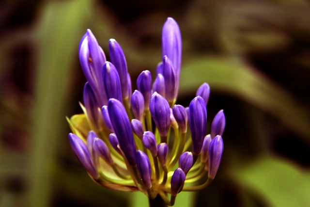 正是竞技体 正是竞技体