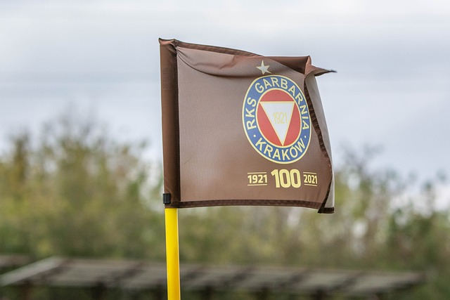 了极大的进 了极大的进