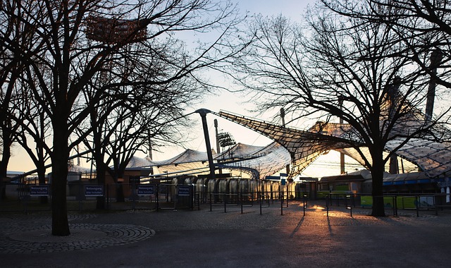 引了全世界 引了全世界