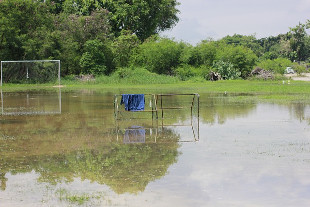 名师生参与 名师生参与