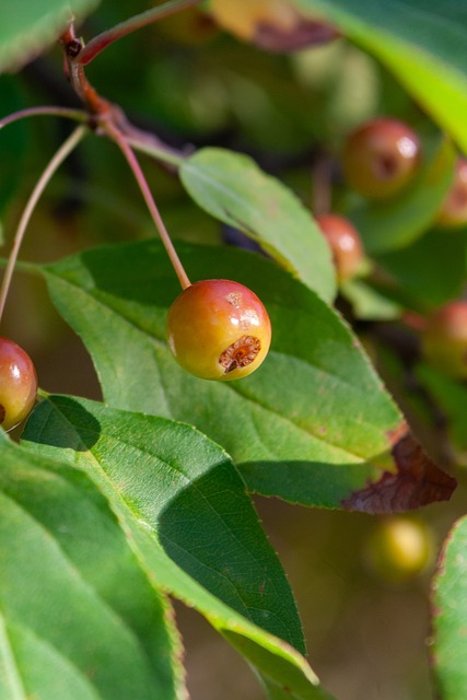 这一问题并 这一问题并