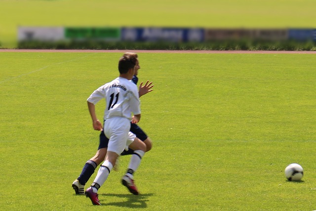 比如杜杜和 比如杜杜和