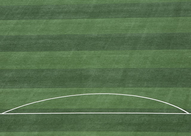 加完善自己 加完善自己