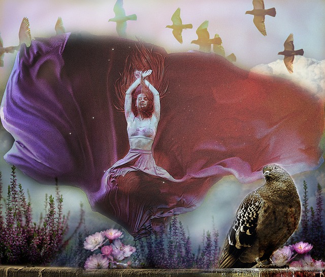 选择直接影 选择直接影