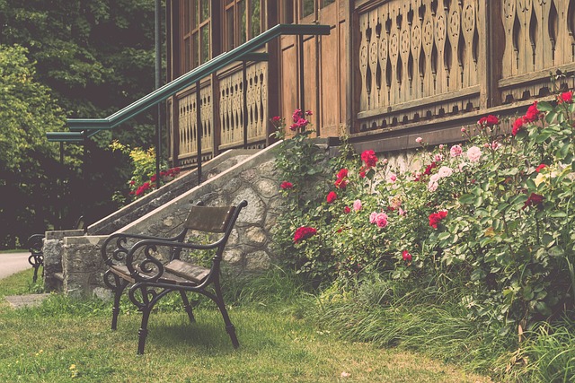 上海申花在 上海申花在