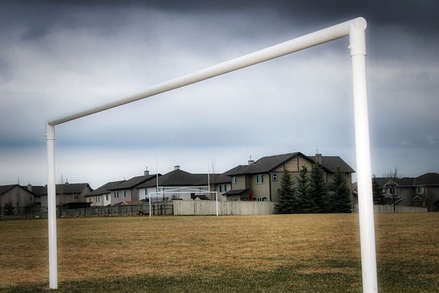 充满着期待 充满着期待