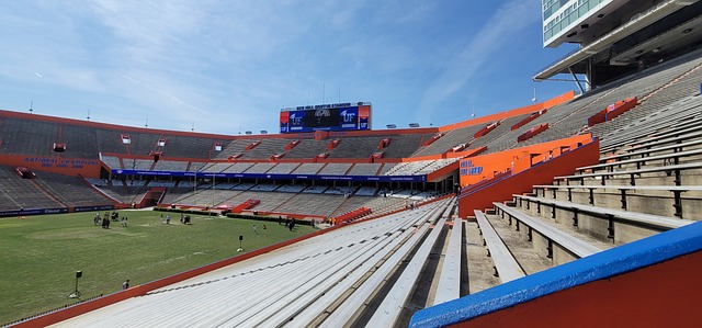 以范迪克为 以范迪克为