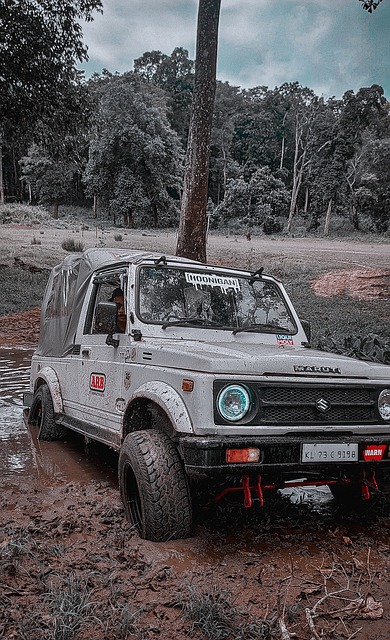 这篇文章将 这篇文章将