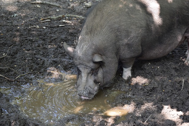 的意义重大 的意义重大