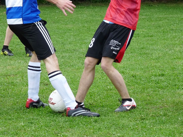 季后赛席位 季后赛席位